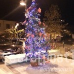 Albero di Natale largo Baiocchi