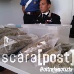 piantagione droga serra casa arresto carabinieri